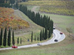 montalcino 2009